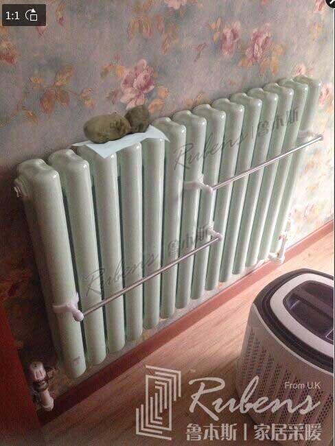 fh至尊暖气片烤红薯